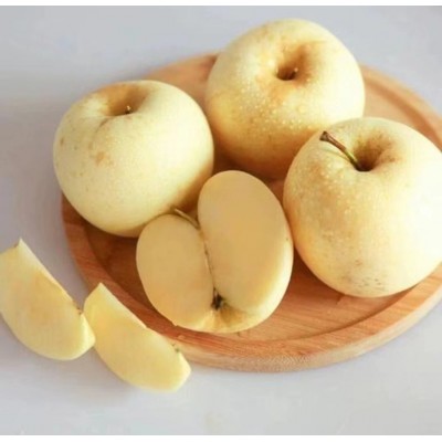 山东栖霞苹果黄金奶油富士 5斤装脆甜多汁冰糖心水果批发支持代发图3