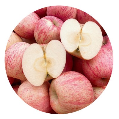 本地果园现摘现发烟台条纹红富士苹果新鲜苹果水果红富士苹果批发图5