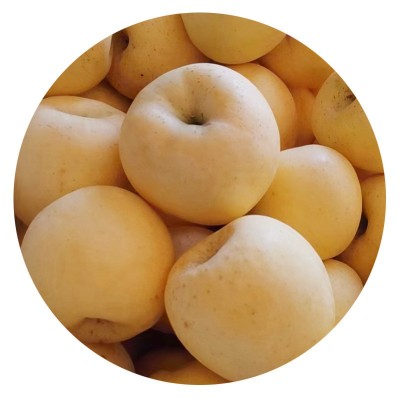 黄金奶油富士苹果老人孩子新鲜水果支持代发脆甜富士苹果批发图5