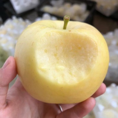 黄金奶油富士苹果老人孩子新鲜水果支持代发脆甜富士苹果批发图3