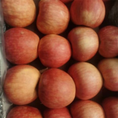 冷库库存红富士苹果 膜袋装冰糖心果 时令大果 脆甜多汁 新鲜水果图4