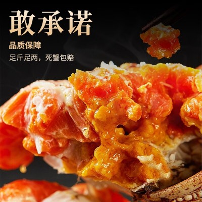 批发现货鲜活水产大闸蟹10只公蟹5两母蟹4两螃蟹湖蟹团购礼盒送礼图3