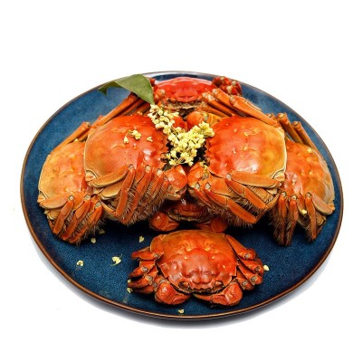 批发现货鲜活水产大闸蟹10只公蟹5两母蟹4两螃蟹湖蟹团购礼盒送礼图5