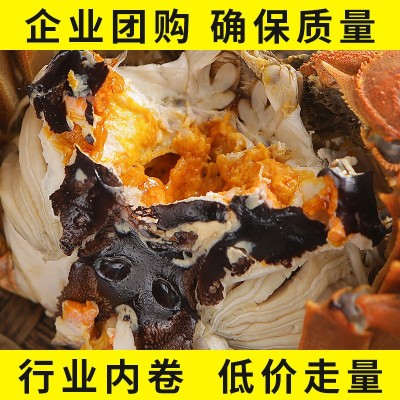 大闸蟹团购现货鲜活螃蟹公母蟹礼盒批发代发冷链包邮现捞现发送礼图2