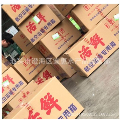 产地直供 牛蛙苗 蝌蚪 成活率高 支持各种运输 量大价格面议图2