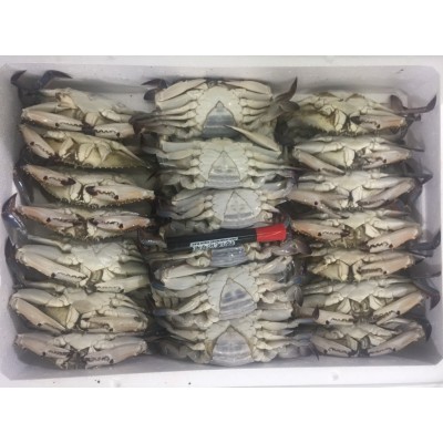 东山县福来食品 福来水产 源头好货 产地直销 梭子蟹图5