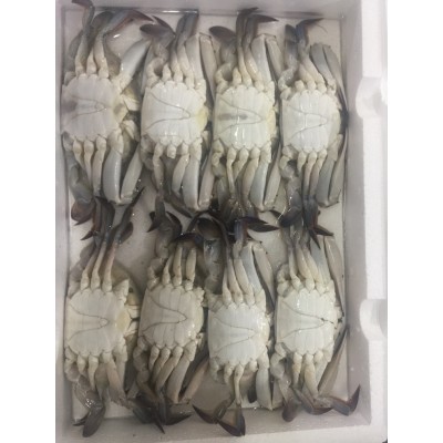 东山县福来食品 福来水产 源头好货 产地直销 梭子蟹图2