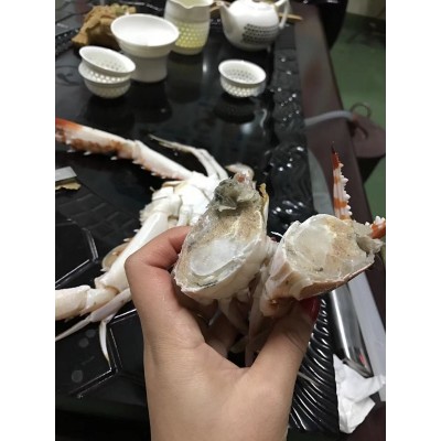 东山县福来食品 福来水产 源头好货 产地直销 冷冻水产 红蟹图2