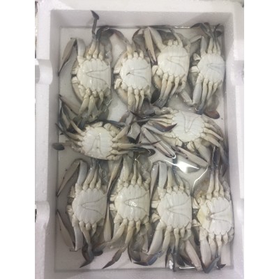 东山县福来食品 福来水产 源头好货 产地直销 冷冻水产 红蟹图5