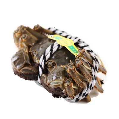 兴化鲜活大闸蟹九指螃蟹现货批发特大公母精品残蟹图5