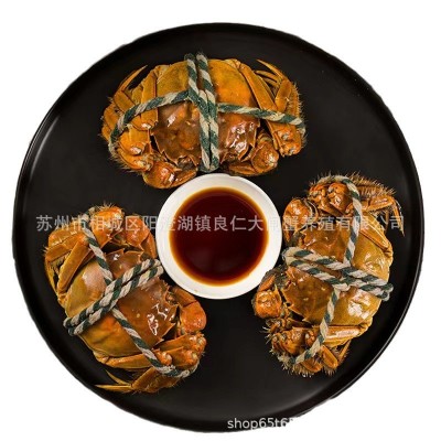 活蟹6只8只10只大闸蟹6月黄特大螃蟹阳澄湖镇礼盒蟹卡全国加盟图4