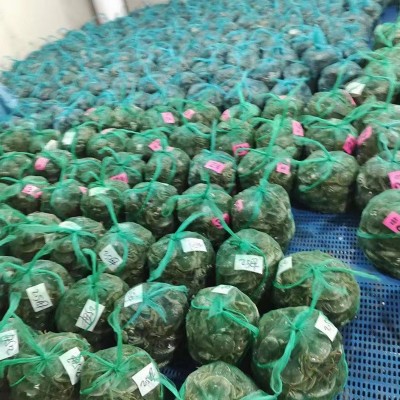 大闸蟹鲜活特大螃蟹现货淡水全公母蟹海鲜水产节日礼盒装送礼河蟹图4