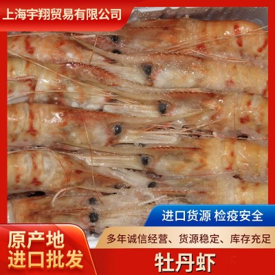 ELS牡丹虾 刺身寿司日式料理海鲜自助餐厅甜虾现货批发 牡丹虾