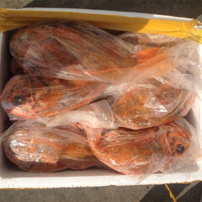 新西兰长寿鱼深海橙鲷斑鱼海鲜刺身婚宴富贵鱼婚宴餐饮直供批发图3