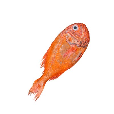 新西兰长寿鱼深海橙鲷斑鱼海鲜刺身婚宴富贵鱼婚宴餐饮直供批发图4