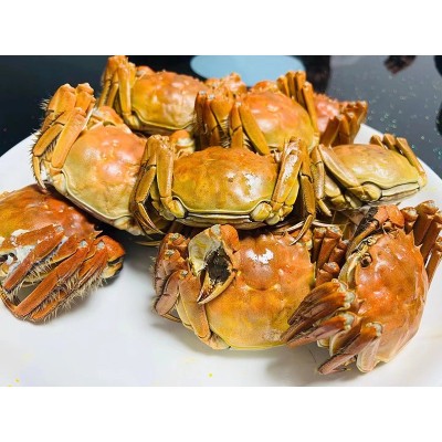 鲜活螃蟹现货蟹卡 大闸蟹企业团购 中秋佳礼 螃蟹礼盒 大闸蟹加盟图2