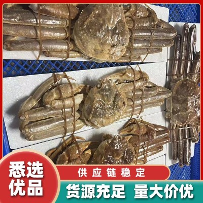生冻整只雪蟹 帝王蟹家用商用称重冷冻整只雪蟹海鲜食品图2