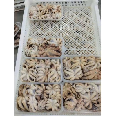 章鱼 八爪鱼 小章鱼花 盐磨 批发各大电商社区 平台 酒店餐厅图2