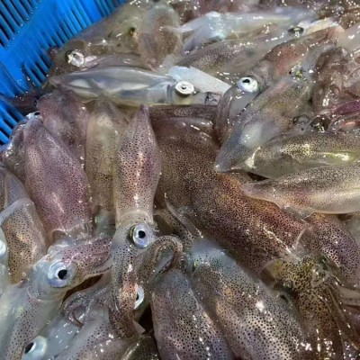 250g一口管大量供应各大电商 社区 平台。 厂家生产，一手批发图3