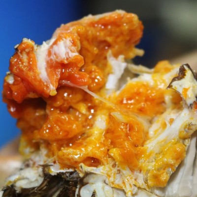 特大现货公蟹母蟹4对8只礼盒装 清水大闸蟹鲜活螃蟹直播一件代发图5