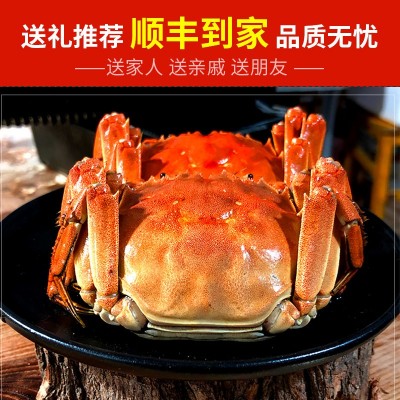 2母3公2对装/花雕熟醉蟹大闸蟹香辣螃蟹即食非罐装海鲜熟速食580g图4