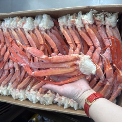 批发俄罗斯红蟹 自助餐厅酒店商用食材冷冻水产海鲜蟹腿图5