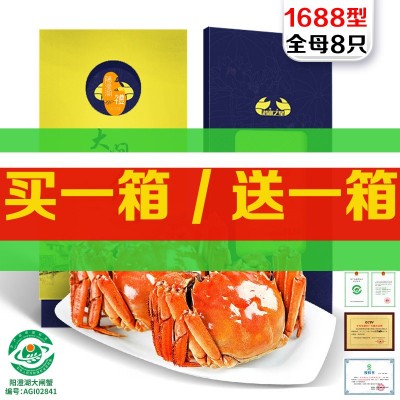 阳澄湖镇大闸蟹鲜活螃蟹未激活 批发蟹卡礼券提货卡活蟹8只10只图3