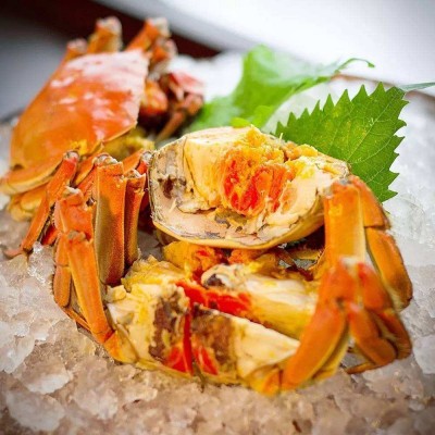 阳澄湖镇大闸蟹鲜活螃蟹未激活 批发蟹卡礼券提货卡活蟹8只10只图5