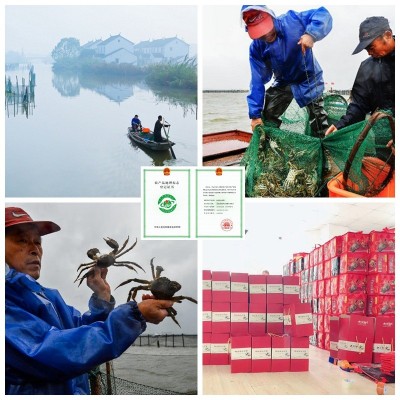 阳澄湖镇大闸蟹鲜活螃蟹 可代发 批发蟹卡礼券提货卡活蟹未开卡图3