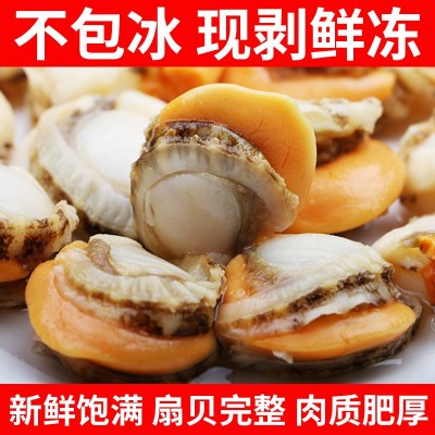 扇贝肉鲜活现剥大扇贝肉带黄无沙鲜冻源头工厂加工电商代发150g图2