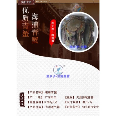 螃蟹蟹鲜活 肉蟹大青蟹醉螃蟹大酱肉蟹泥蟹大青蟹每只4两以图5