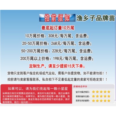 刀额新对虾苗 砂虾苗 麻虾苗 泥虾苗 虾苗 对虾苗 虾苗基围虾苗图2