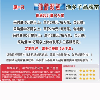 白对虾苗 虾苗 南美白对虾苗增殖放流苗基围虾苗淡化苗淡水虾苗图3