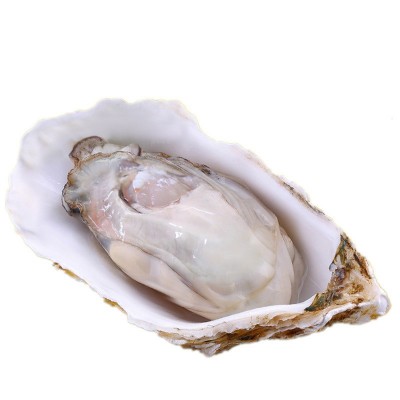 生蚝鲜活批发原产地一手货源山东海鲜水产新鲜生蚝肉牡蛎图5