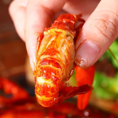 洪掌柜 泗洪小龙虾46钱750g净虾500g熟食加热即食 源头工厂直发图5