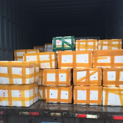 专业销售 湖北小龙虾 德炎小龙虾 麻辣小龙虾原料全国发货图3