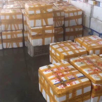 专业销售 湖北小龙虾 德炎小龙虾 麻辣小龙虾原料全国发货图5