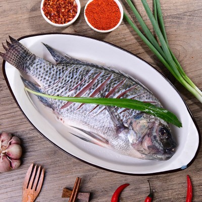 麻辣罗非鱼厂家批发 油炸串串 腌鱼烧烤食材真空装430-470g 烤鱼图4