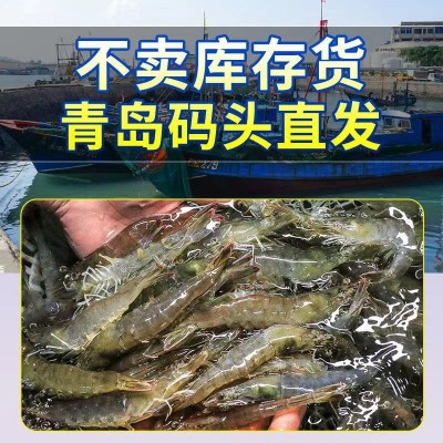养殖大虾特大鲜活基围虾新鲜海虾盐冻虾整箱海水虾海鲜批发图2