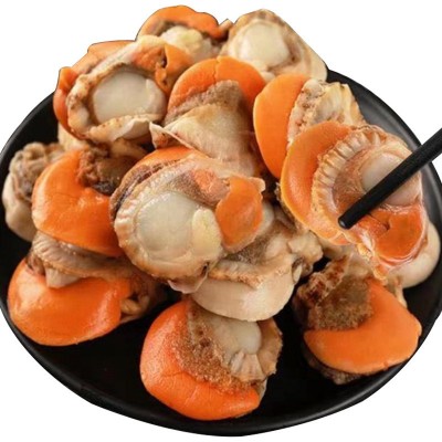 福建黄金扇贝活鲜冷冻 商用烧烤料理扇贝 鲜活现剥海鲜水产批发图5