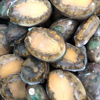 冻干鲍鱼6-12头鲍鱼 海鲜水产酒店佛跳墙食材 带壳活冻大鲍鱼批发图4