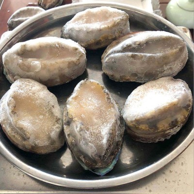 冻干鲍鱼6-12头鲍鱼 海鲜水产酒店佛跳墙食材 带壳活冻大鲍鱼批发图3