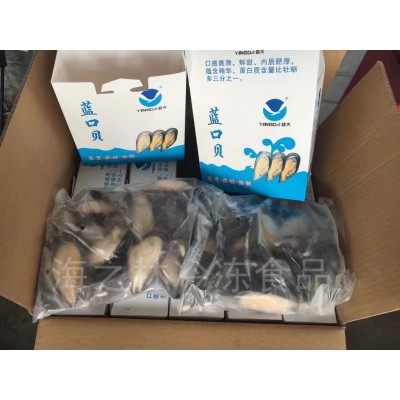 半壳蓝口贝 7成货 火锅自助餐佳品 贝类大量现货青口蓝口贝类食材图2
