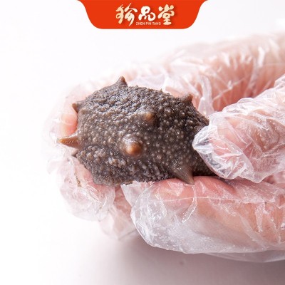 珍品堂批发珍选鲜食即食大连海参独立包装供应酒店非干货 即食海参图4