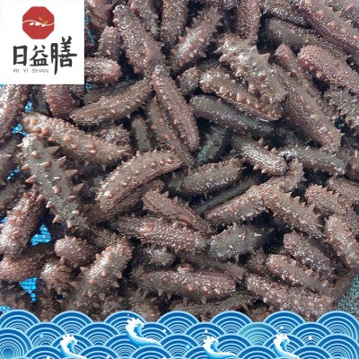 【一件代发】厂家直销 大连海参 高压即食 批发 御和贸易图5