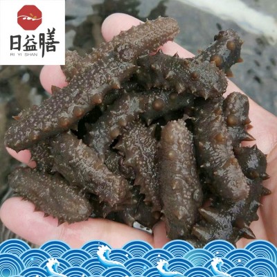 【一件代发】厂家直销 大连海参 高压即食 批发 御和贸易图3
