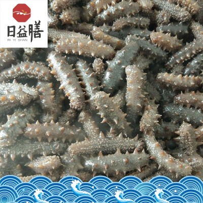 【一件代发】厂家直销 大连海参 高压即食 批发 御和贸易图4