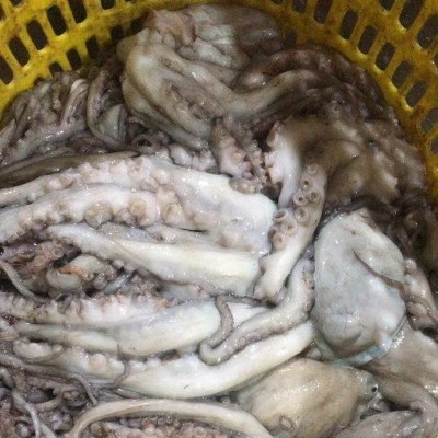 伟隆1-2条长腿八爪鱼章鱼有墨海鲜 冷冻章 鱼新鲜发货图2