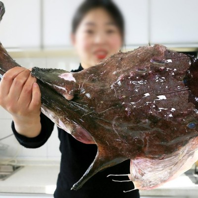 安 康皮皮鱼 新鲜冷冻水产生鲜海捕鮟鱇鱼去内脏带肝带肚蛤蟆鱼图2