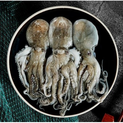 八爪鱼章鱼鲜活海鲜冷冻 有米墨八抓鱼小章鱼足图2